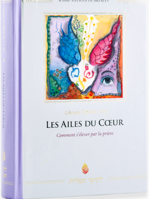Il était une fois — Rabbi Nahman de Breslev